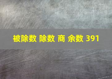 被除数 除数 商 余数 391